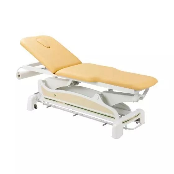Ecopostural 2 section narrow ended electric table with arm rests C3562M44