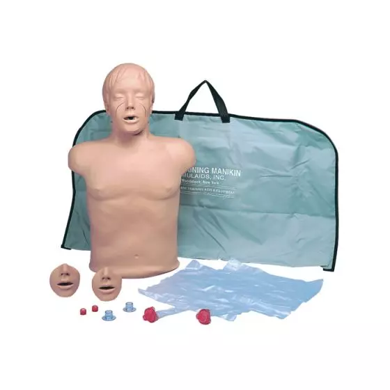 CPR Torso W44597