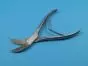 Moure Clipper , for thyrodectomie, 20 cm Holtex