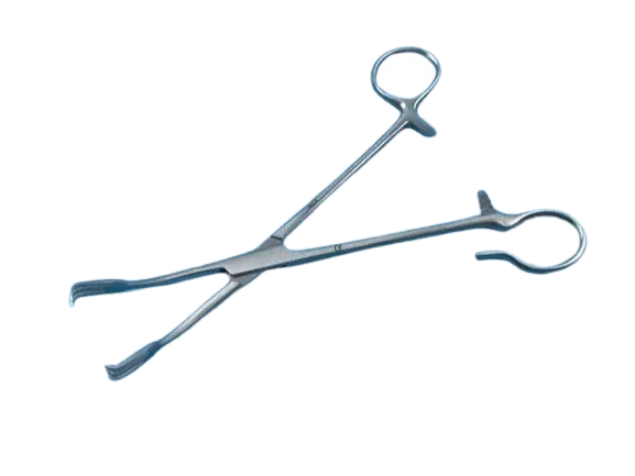 Tonsils clip Colver, 19 cm Holtex