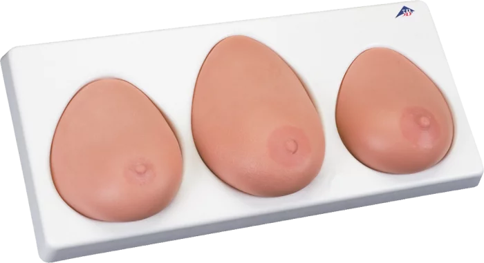 Breast Examination Model, L55